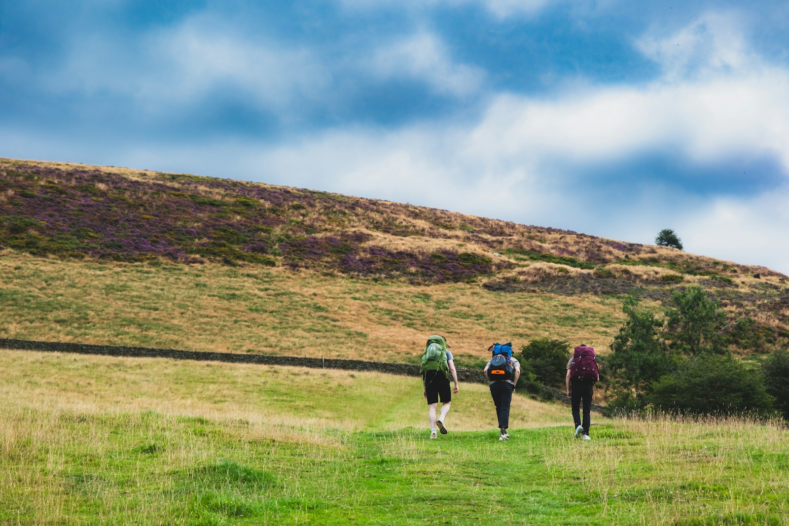 Photo by Sue Winston A group of people walking across a lush green field